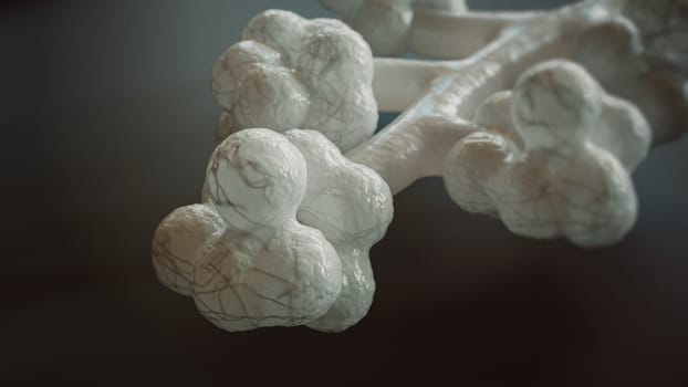 A detailed representation of human lung alveoli in a 3D rendering, highlighting the intricate organic structures