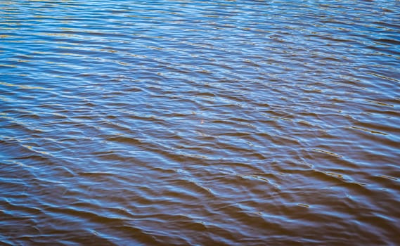 Concept shot of the fishing rod float in the pond