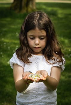 Portrait of one beautiful Caucasian brunette girl holding plucked meadow daisies in her palms, stretching them forward on a summer day in a public park, close-up side view from above.