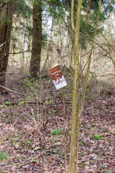 Landscape shot of the forest. Trash on the brunches of the tree