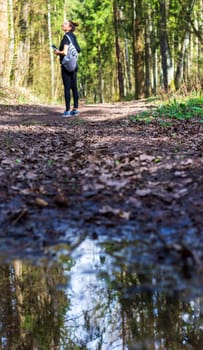 Trees of the forest reflected in the puddle