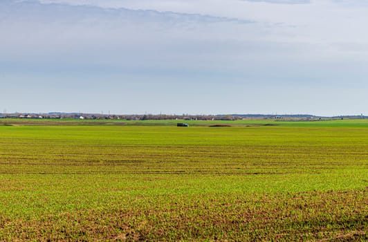 Shot of the agricultural field