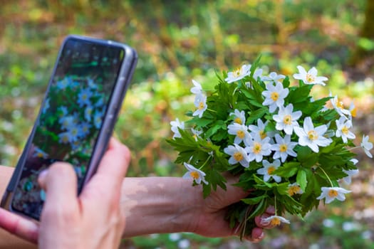 Woman taking a photo of fresh natural white flowers with her mobile phone