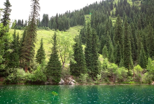 Green coniferous trees grow on the shore of the lake under a cloudy sky. The water surface shimmers in the foreground