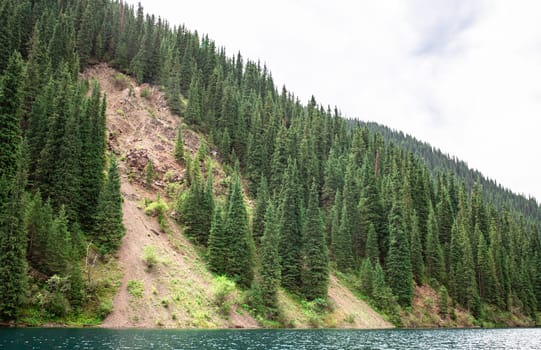 Crystal-clear lake reflects lush green forest and towering mountains, creating a tranquil and serene landscape.