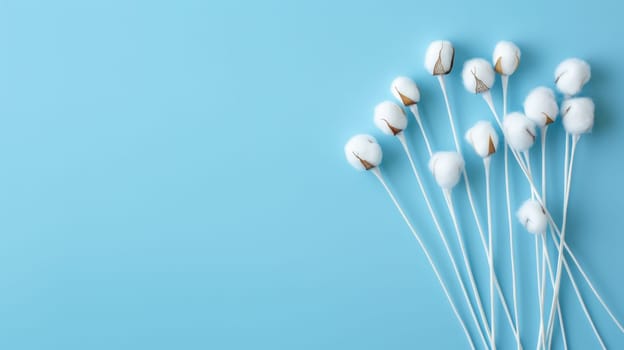 Cotton Branches on Light Blue Background.