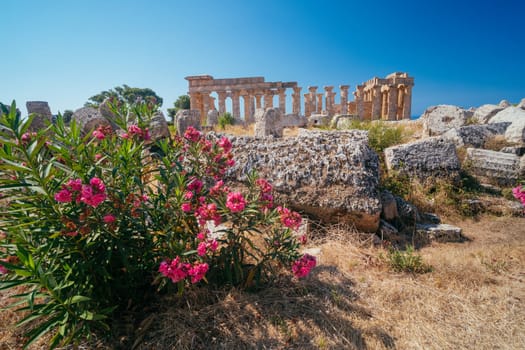 Ruins of a Greek temple in the archaeological park of Selinunte in Sicily in Italy.