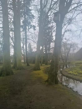 Fog in forest green park near the rill. High quality photo