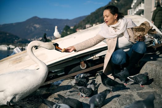 Lifestyle portrait of a multiethnic female tourist traveler pretty woman feeding a white swan with a bird, sitting on the lakefront of the city of Como. People and animals. Tourism and travel concept