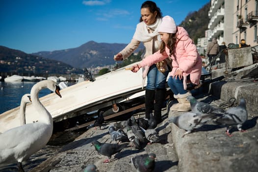 Lifestyle portrait of a pretty woman feeding a white swan with a bird, sitting on the lakefront of the city of Como. People and animals. Tourism and travel concept. Alpine mountains on the background