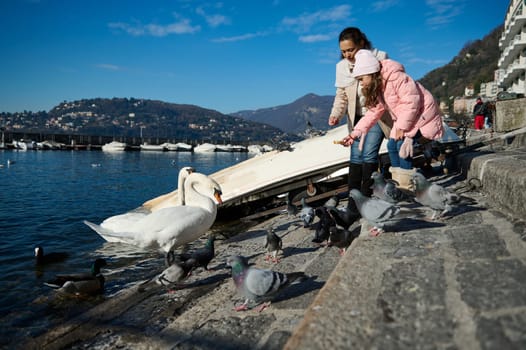 Happy mother and daughter on the lakefront of the city of Como, feeding beautiful white swans with bread, they are taking it directly from her hand. Small boats the waterfront. Mountains on background