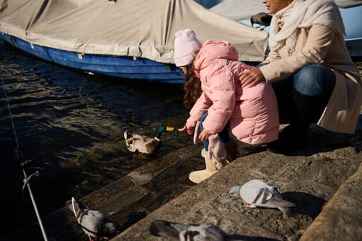 Little child girl in warm pink dawn coat, sitting near her mom on the lakefront and feeding ducks and birds with bread