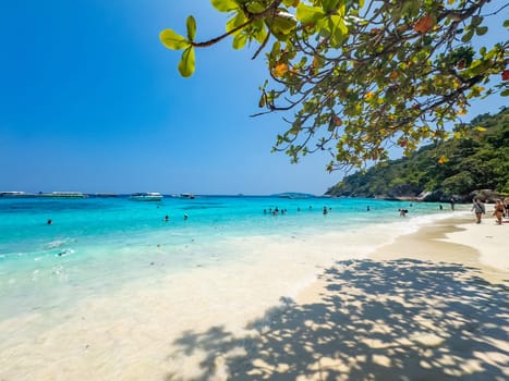 View of Similan island in Phang Nga, Thailand, south east asia