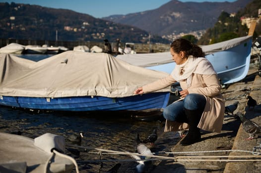 Pretty woman feeding swans and ducks on a winter lake of Como. Alpine mountains on the background