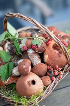 Freshly picked various edible porcini mushrooms and boletuses in a wicker basket in the hands of a woman in nature in the grass close-up, High quality photo