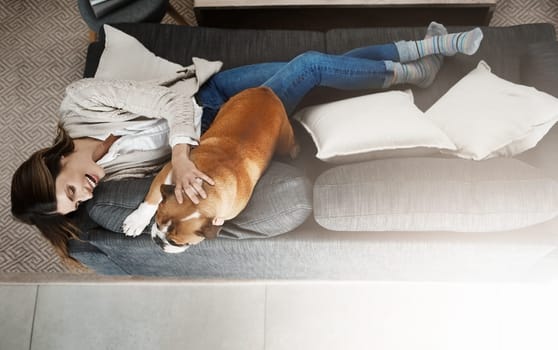 Woman, relax and sofa with dog as top view in home as best friend bonding, connection or laughing. Female person, pet and animal from above for weekend rest in apartment, happy or emotional support.