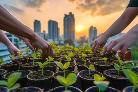 People engage in community gardening against an urban backdrop, planting young seedlings at sunset