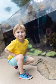 A young boy in a yellow shirt is crouching down in front of a fish tank. She is smiling and looking at the fish inside the tank