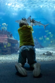 A little boy is looking to the shark - aquarium in oceanarium. He is eating a snack while looking at the fish in the tank
