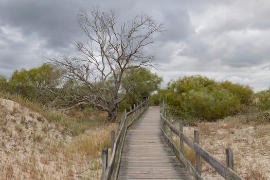 A wooden bridge over a path in a forest. The path is lined with trees and the sky is cloudy