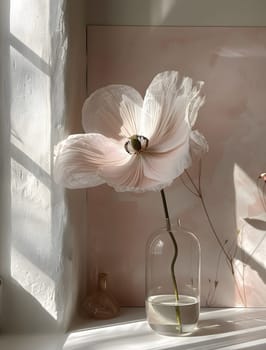 A delicate white flower blooms in a glass vase on the window sill, adding a touch of nature to the rooms hardwood floor and wooden surroundings