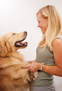 Woman, playing and labrador dog in studio as love for pets, puppy and animal with happiness as childhood friend. Happy, person and bonding with companion by teaching, learning and tricks growth.