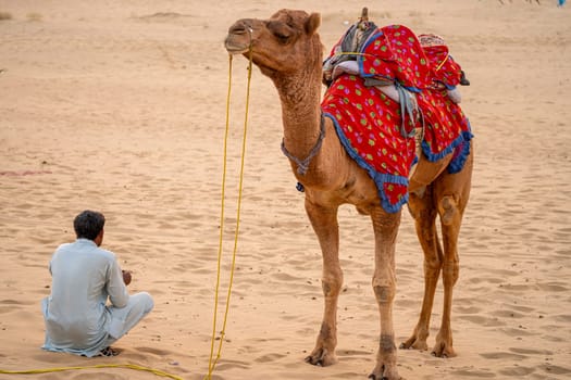 man in traditional kurta pyjama dress standing with camel wearing brightly colored clothes in the middle of sand dunes