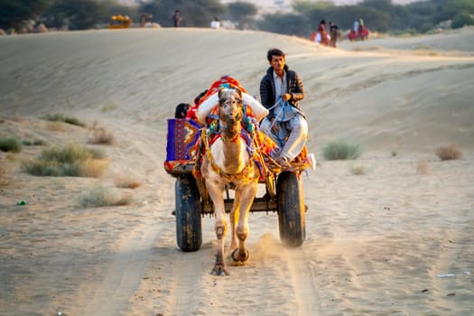 Jaisalmer, Rajasthan, India - 25th Dec 2023: camel owner sitting on a brightly colored cart and travelling along a path in sand looking for tourists