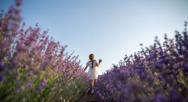Lavender field girl. Back view happy girl in white dress with a scythe runs through a lilac field of lavender. Aromatherapy travel.