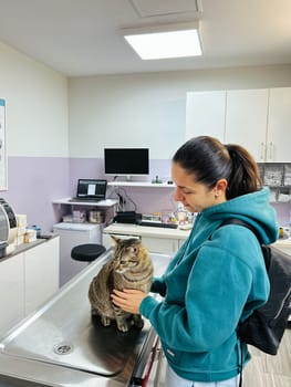 Young woman holding a tabby cat on a table in a veterinary clinic. High quality photo