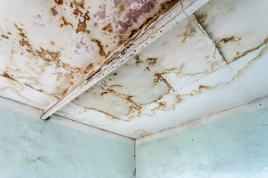 Strong mildew in large stains is located on interior wall in apartment.