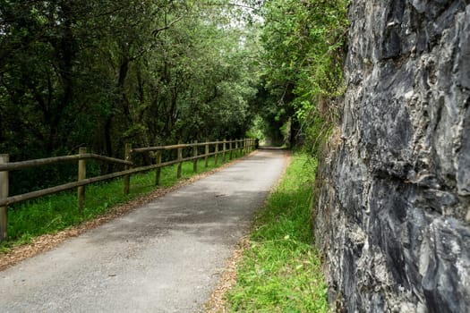 walking path with wooden fencing. Camino de Santiago, Basque Country, Spain.