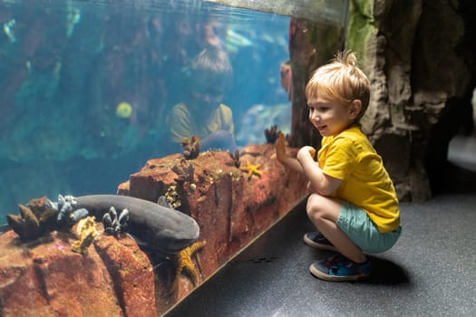 A little boy is kneeling in front of a fish tank - large aquarium, reaching out to touch a sea star