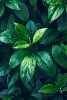 Green leaves on dark background. Generative AI.