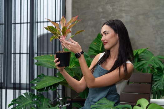 Young female gardener tending and trimming to tropical plant in minimalist architectural concrete style summer exotic plant foliage garden, home gardening for environmentalist lifestyle. Blithe