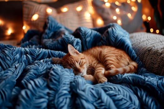 A cat is sleeping on a blue blanket on a couch.