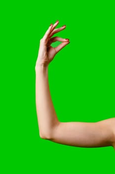 Womans Arm Hand Sign Raised in the Air on green background