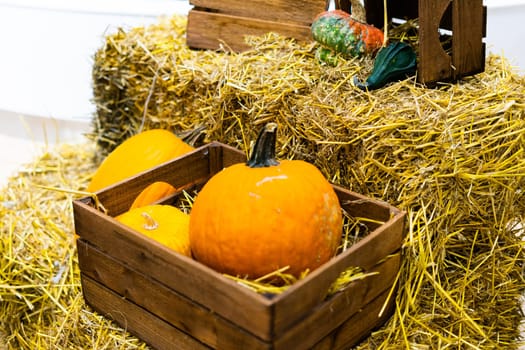 Orange halloween pumpkins on stack of hay or straw in a sunny day, fall display