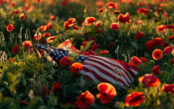 The American flag reclines among a blanket of red poppies as the sun sets, a poignant reminder of valor and sacrifice