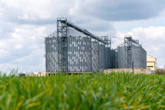 Granary elevator, silver silos on agro manufacturing plant for processing drying cleaning and storage of agricultural products, flour, cereals and grain. A field of green wheat