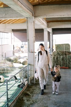 Smiling mother and little girl walk holding hands past the fence of a pen with lambs on a farm. High quality photo
