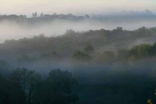 Aerial view of Bordeaux vineyard at sunrise spring under fog, Rions, Gironde, France. High quality photo