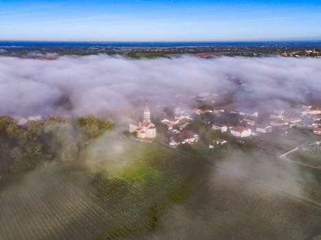 Aerial view of Bordeaux vineyard at sunrise spring under fog, Loupiac, Gironde, France. High quality photo