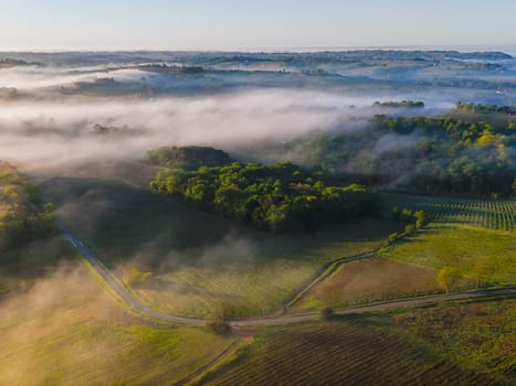 Aerial view of Bordeaux vineyard at sunrise spring under fog, Rions, Gironde, France. High quality photo