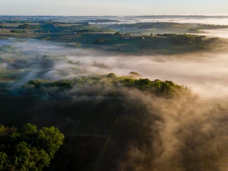 Aerial view of Bordeaux vineyard at sunrise spring under fog, Rions, Gironde, France. High quality photo