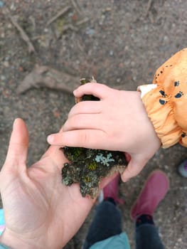 A person and a child are holding a rock together in their hands, with the childs small fingers grasping onto the rock and the persons thumb providing support