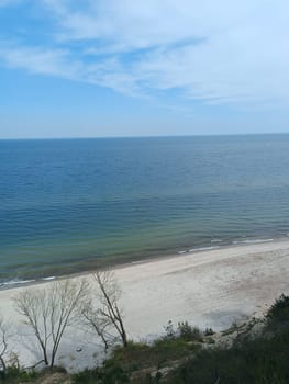 A serene natural landscape featuring a tree in the foreground, a large body of water in the background, with the sky and clouds painting a picturesque coastal horizon