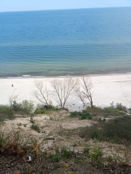 The view from the hill showcases the stunning coastal and oceanic landforms, with the water meeting the sky at the horizon, surrounded by lush plants and grass on the beach