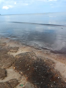 dirty seaweed beach beach with a vast expanse of water in the background, blending into the horizon beneath a cloudy sky. The natural landscape features a tranquil lake and a serene fluid environment