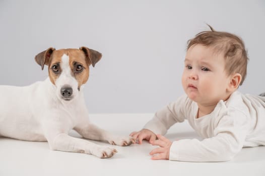 Cute baby boy and Jack Russell terrier dog lying in an embrace on a white background